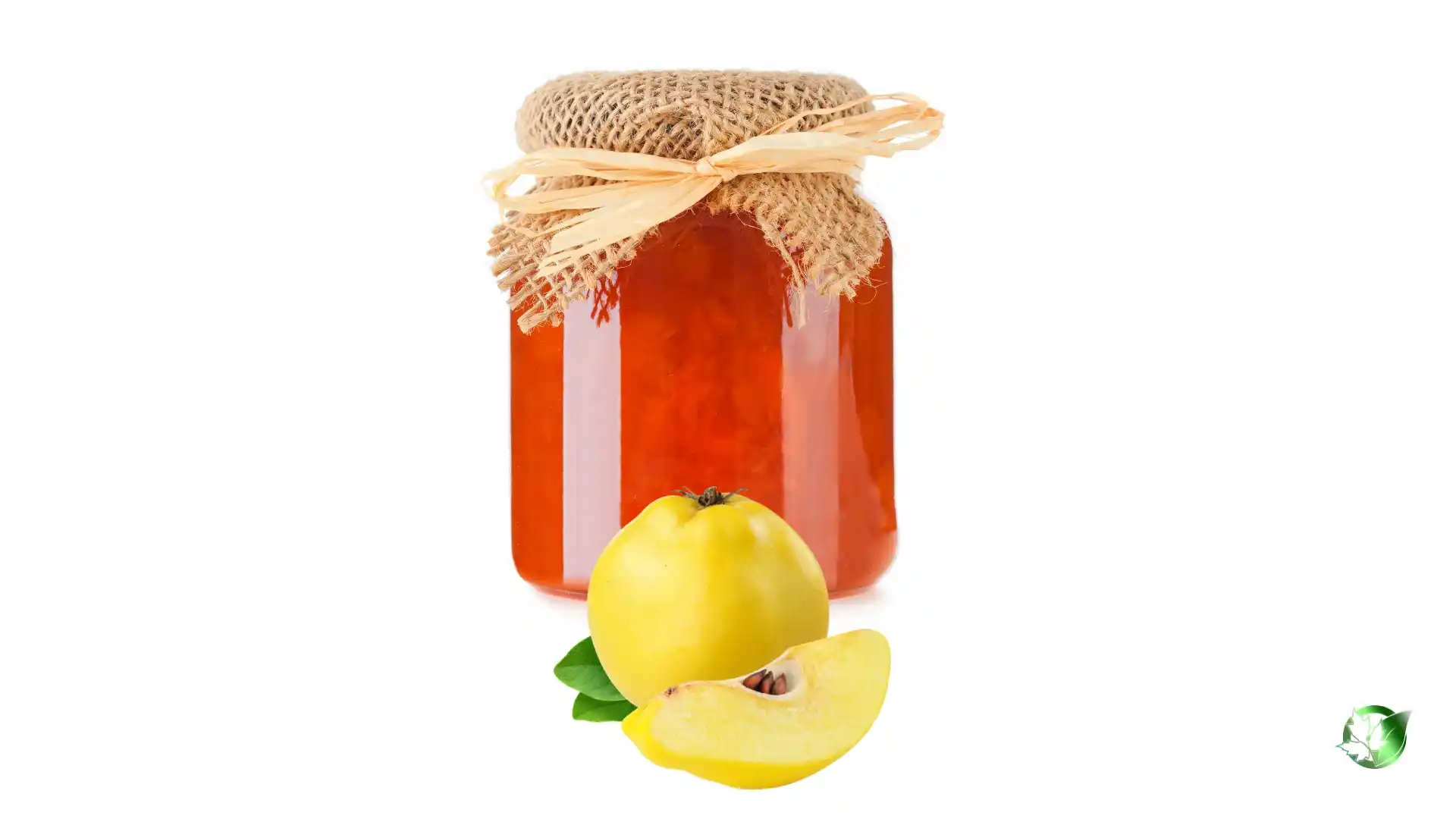 Bulk Quince Jam | Suppliers | Wholesale | ParsaFood Global